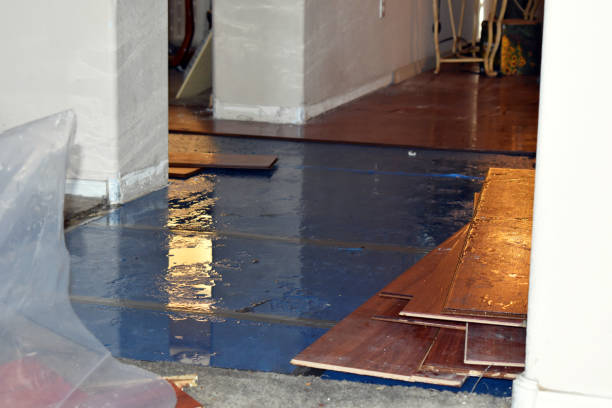 Professional Flood Damage Repair technician working in Pulaski, WI